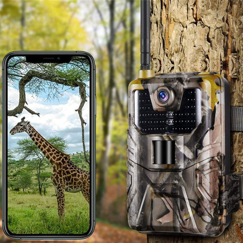 Caméra de Chasse 4K Connectée en 4G – Image 5